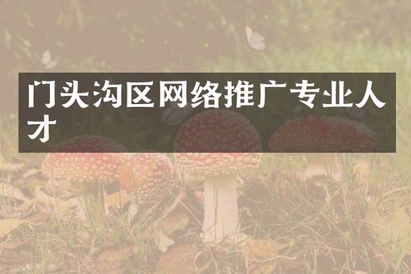 门头沟区网络推广专业人才