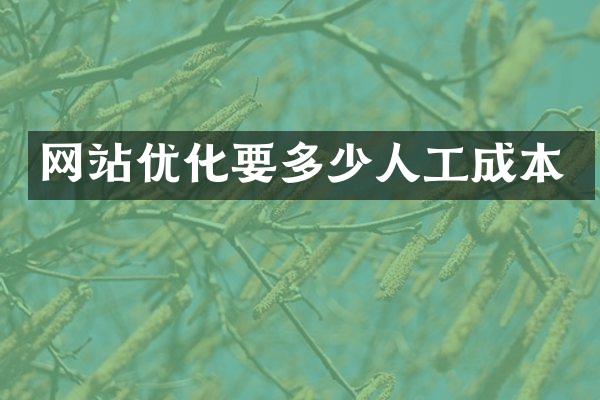 网站优化要多少人工成本