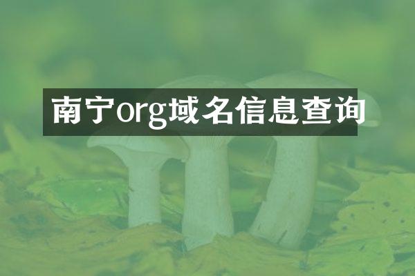 南宁org域名信息查询