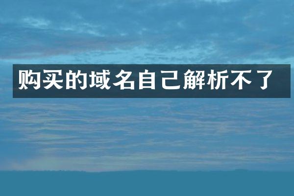 购买的域名自己解析不了