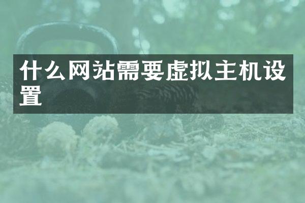 什么网站需要虚拟主机设置