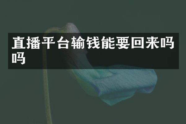 直播平台输钱能要回来吗吗