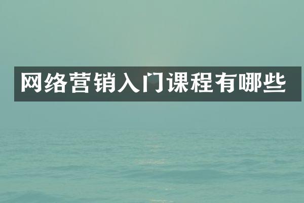 网络营销入门课程有哪些