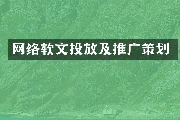网络软文投放及推广策划