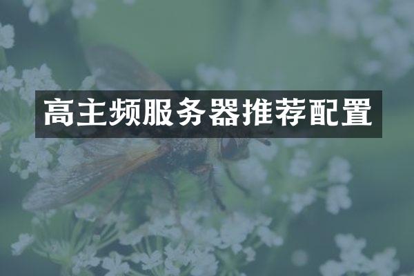 高主频服务器推荐配置