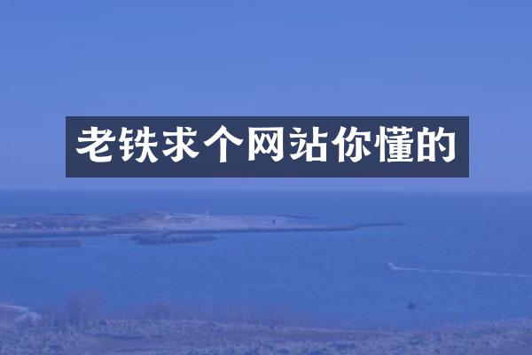 老铁求个网站你懂的
