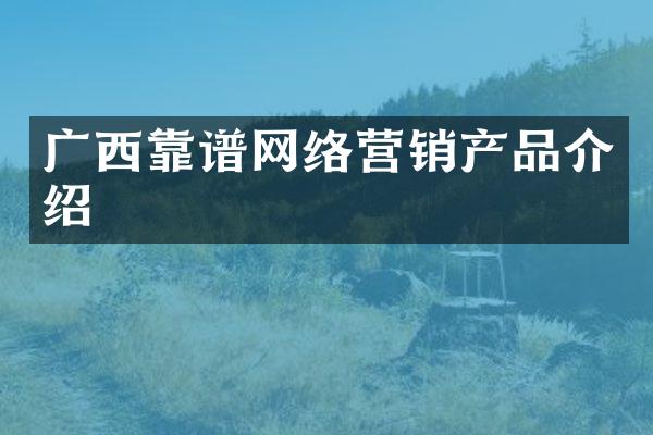 广西靠谱网络营销产品介绍