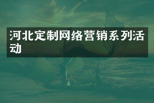 河北定制网络营销系列活动