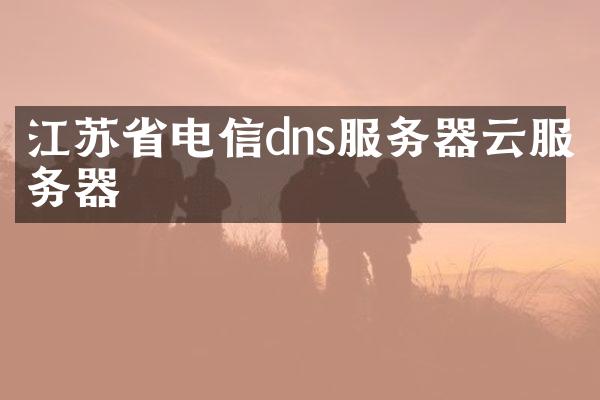 江苏省电信dns服务器云服务器