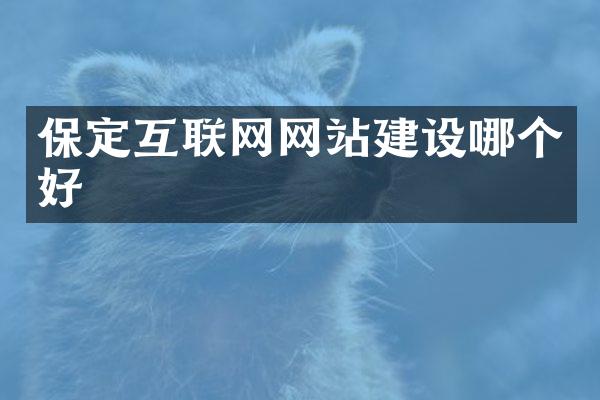 保定互联网网站建设哪个好