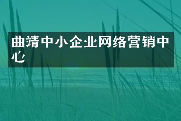 曲靖中小企业网络营销中心