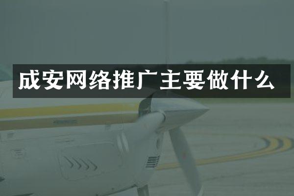 成安网络推广主要做什么
