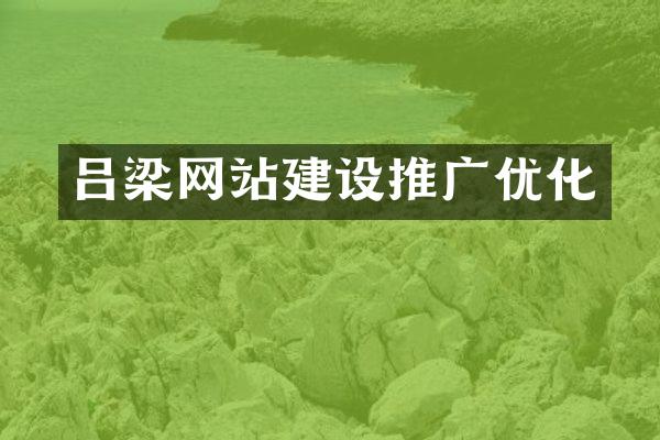 吕梁网站建设推广优化
