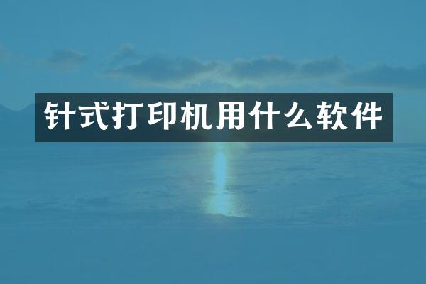 针式打印机用什么软件