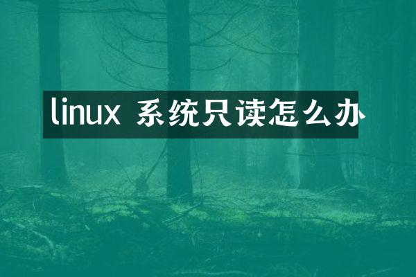 linux 系统只读怎么办