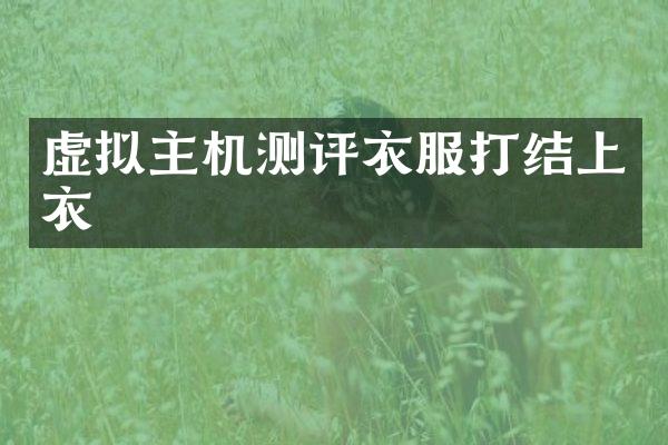 虚拟主机测评衣服打结上衣