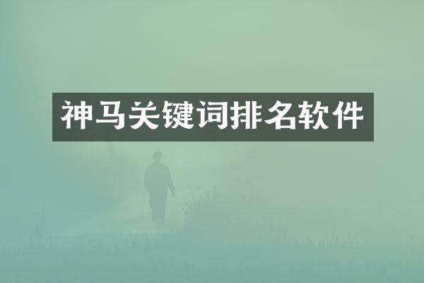 神马关键词排名软件