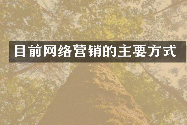 目前网络营销的主要方式