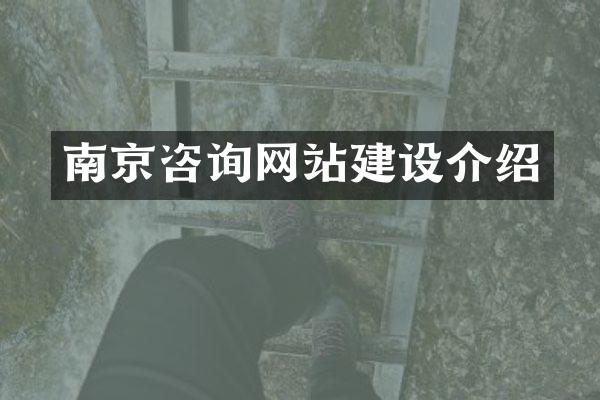 南京咨询网站建设介绍