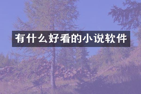 有什么好看的小说软件