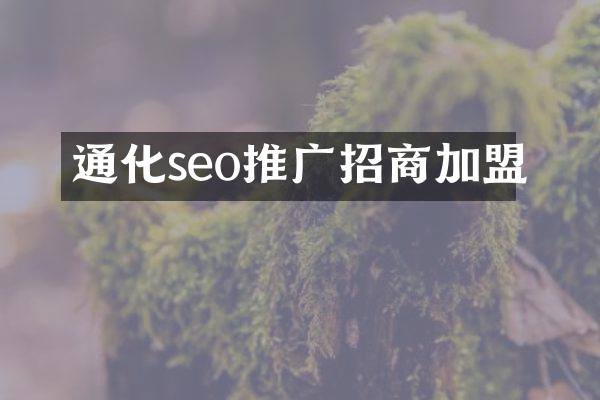 通化seo推广招商加盟