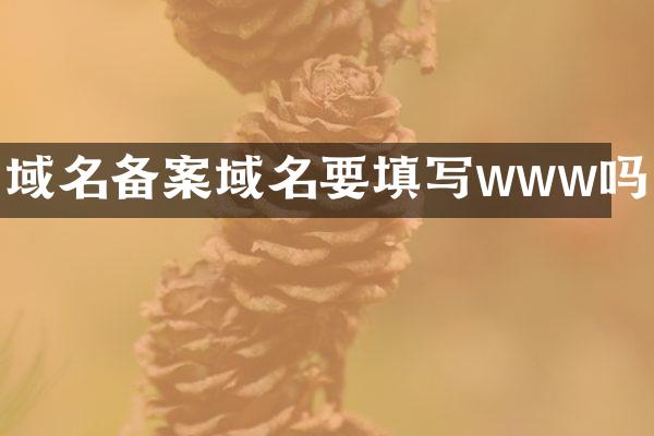 域名备案域名要填写www吗