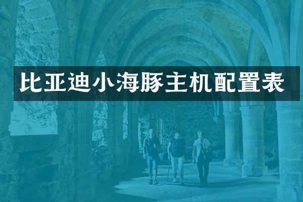 比亚迪小海豚主机配置表