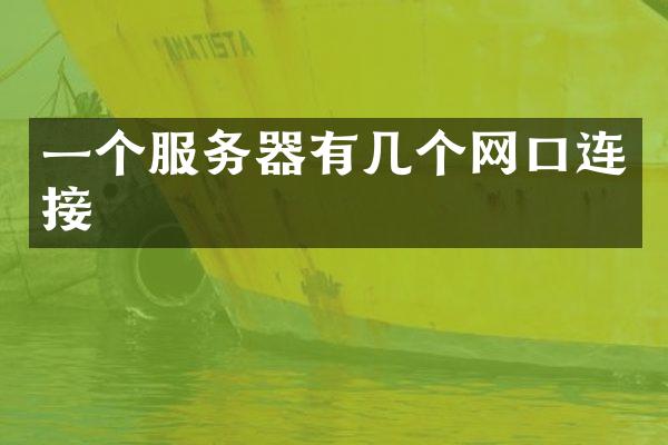 一个服务器有几个网口连接