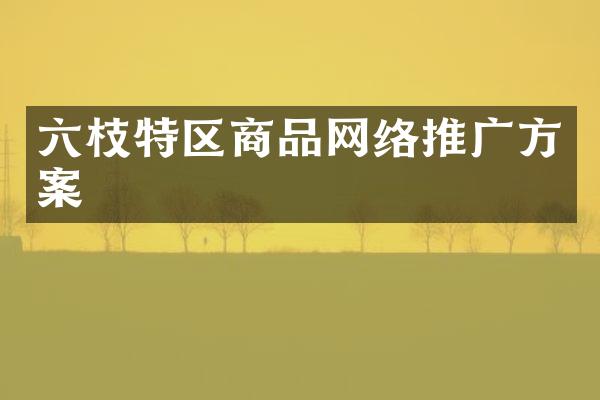 六枝特区商品网络推广方案
