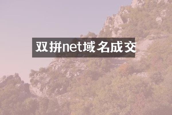 双拼net域名成交