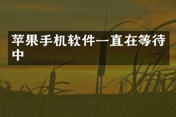 苹果手机软件一直在等待中