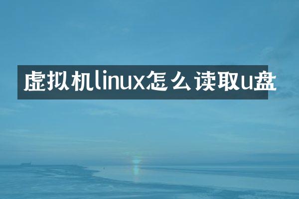 虚拟机linux怎么读取u盘