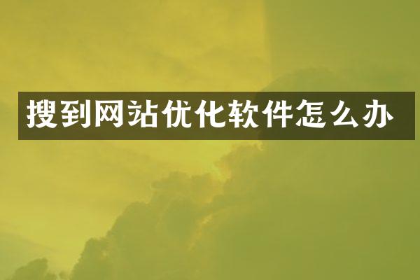搜到网站优化软件怎么办