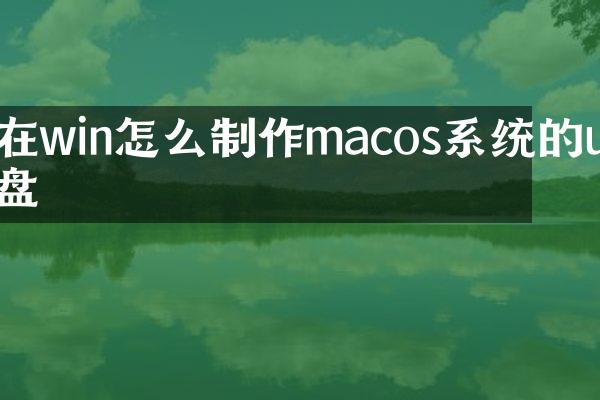 在win怎么制作macos系统的u盘