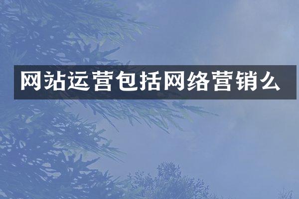 网站运营包括网络营销么