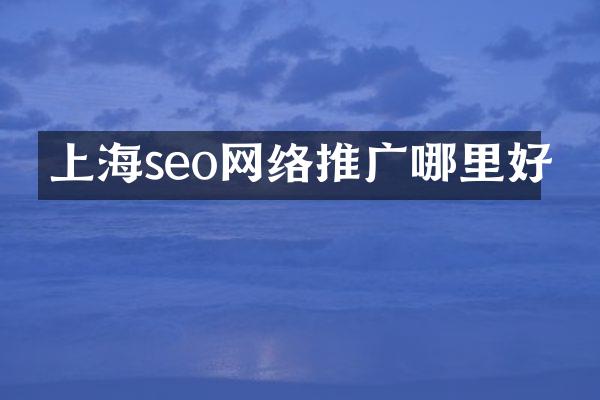 上海seo网络推广哪里好