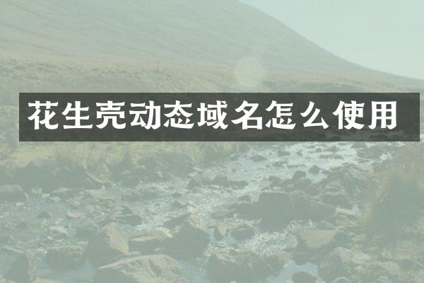 花生壳动态域名怎么使用