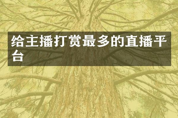 给主播打赏最多的直播平台