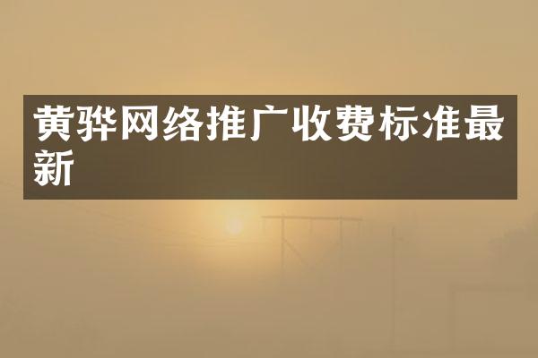 黄骅网络推广收费标准最新