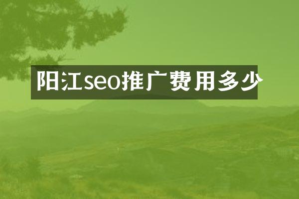 阳江seo推广费用多少