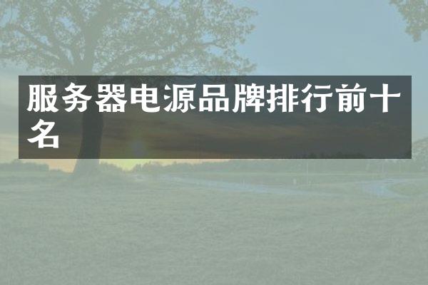 服务器电源品牌排行前十名