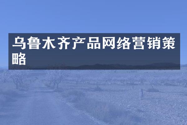 乌鲁木齐产品网络营销策略