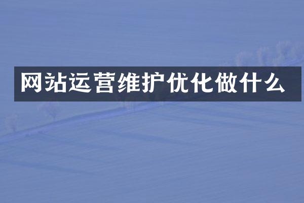 网站运营维护优化做什么
