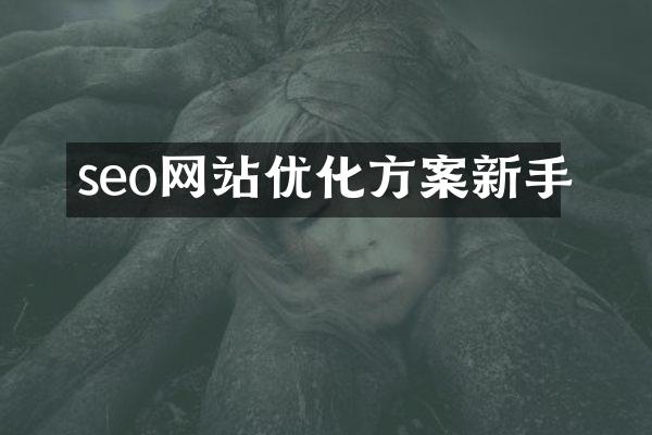 seo网站优化方案新手