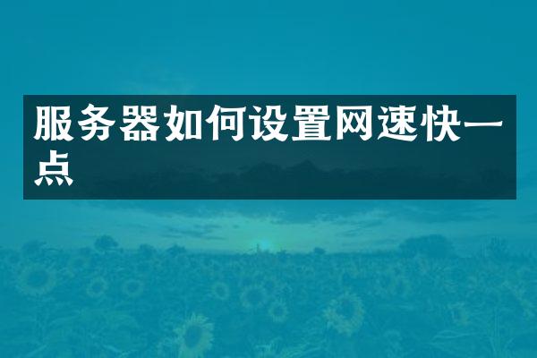 服务器如何设置网速快一点