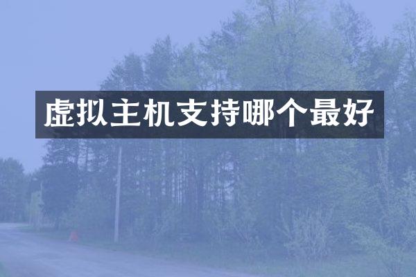 虚拟主机支持哪个最好