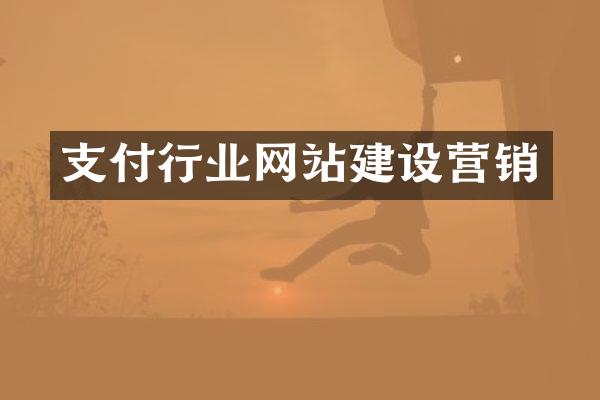 支付行业网站建设营销
