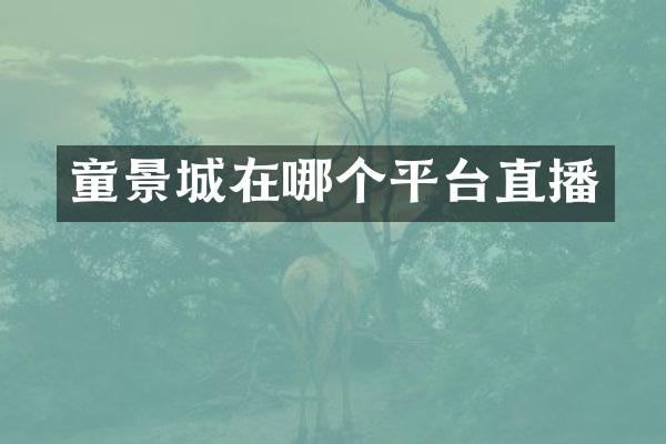 童景城在哪个平台直播