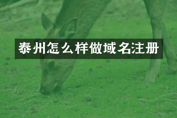 泰州怎么样做域名注册