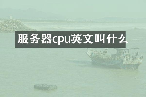 服务器cpu英文叫什么